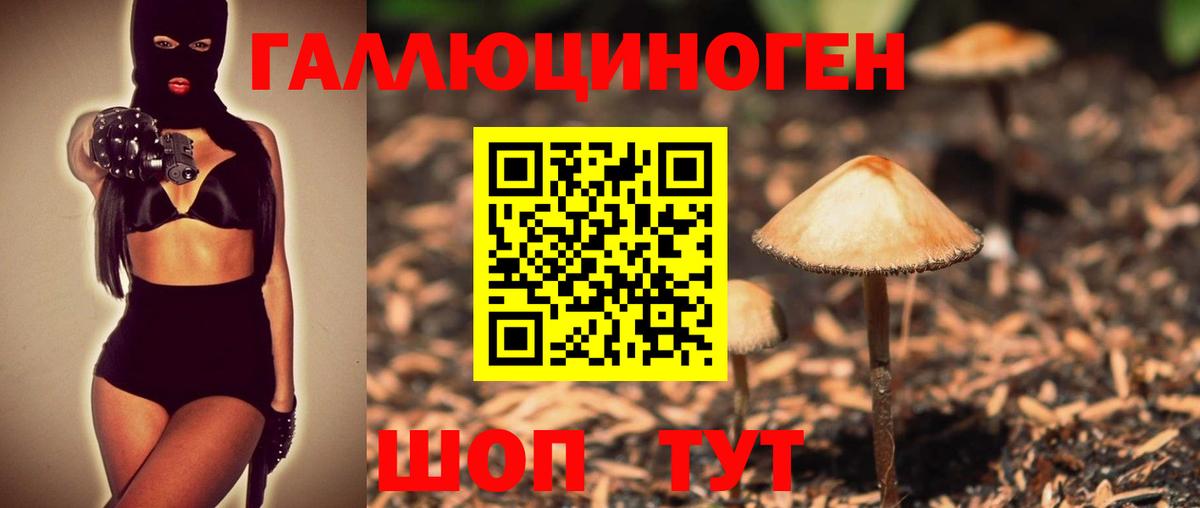 Псилоцибиновые грибы Psilocybine cubensis  Вход с VPN  где продают наркотики  Домодедово 