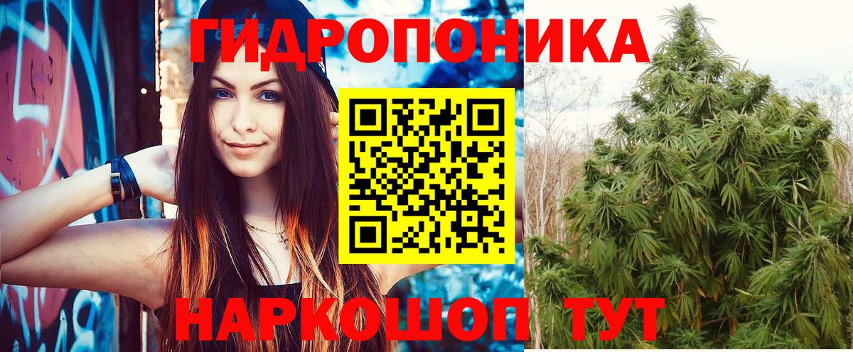 Конопля индика  МАРИХУАНА конопля  Вход с VPN  Бошки Шишки Ganja  Домодедово  Шишки марихуана план 